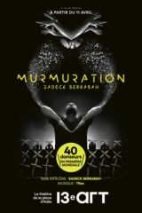 Murmuration - 13e art