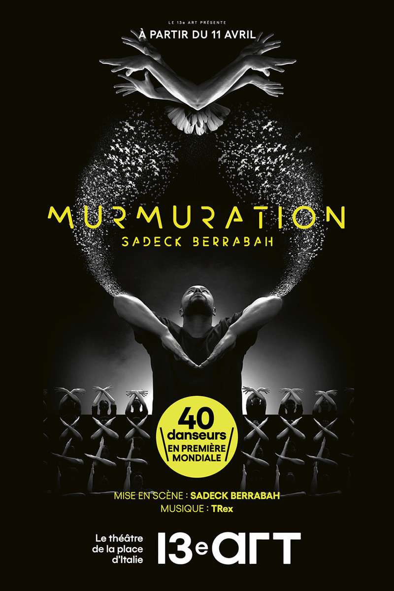 Murmuration - 13e art