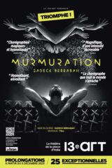 Murmuration - 13e Art
