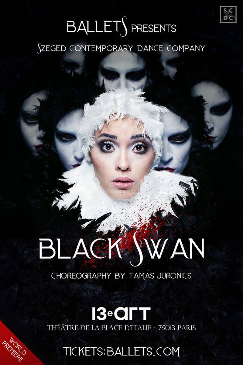 Affiche Black Swan - 13e art
