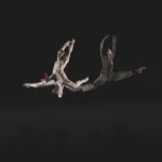 Portes ouvertes 2026 - école du Ballet de Paris Stanlowa